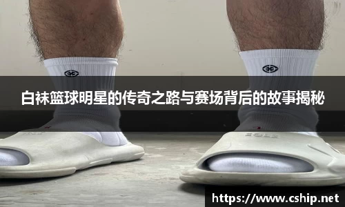 白袜篮球明星的传奇之路与赛场背后的故事揭秘
